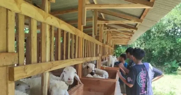 WhatsApp Image 2026-01-06 at 16.05.47 (1)